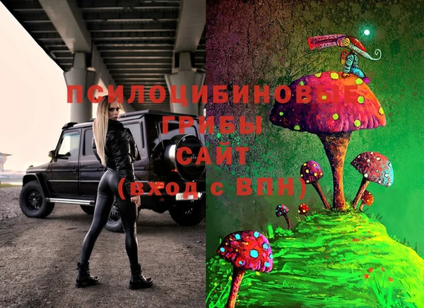 apvp Волосово